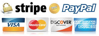 secure online payments paypal and stripe